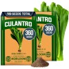 HOME GROWN Culantro Seeds - 720+ 𝗡𝗢𝗡-𝗚𝗠𝗢, 𝗨𝗦𝗔-𝗦𝗢𝗨�