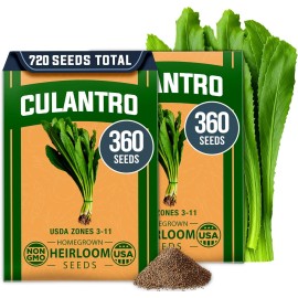 HOME GROWN Culantro Seeds - 720+ 𝗡𝗢𝗡-𝗚𝗠𝗢, 𝗨𝗦𝗔-𝗦𝗢𝗨�