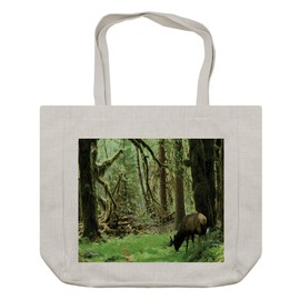 Ambesonne Rainforest Shopping Bag, Roosevelt Elk in Rain Forest Wildlife National Park America Antlers Theme, Eco-Friendly Reusable Bag for Groceries Beach and More, 15.5" X 14.5", Green Brown