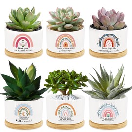 6 Pcs Thank You Teacher Gift Rainbow Succulent Pots Mini Ceramic Plant Pots with Bamboo Tray Flower Pots Planters for Teacher Colleague Employee Friend Appreciation Plants Not Included