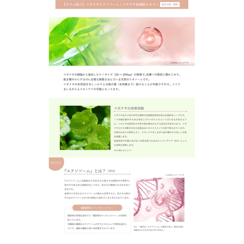 Spicare V3 Particle Primer Light 30ml