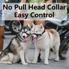 Dog Head Collar, Fabric Padded Head Collar for Dogs to