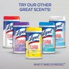 Lysol Professional Disinfectant Spray, Spring Waterfall, 19 oz (3 Pack)