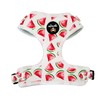 Adjustable dog harness/XXS Watermelon car suitable/for no pulling