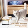 Sunhoo Ceramic Elevated Cat Bowls Raised Puppy Dishes for Food