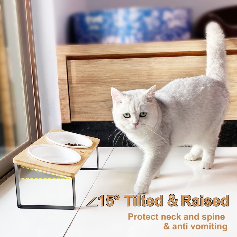 Sunhoo Ceramic Elevated Cat Bowls Raised Puppy Dishes for Food