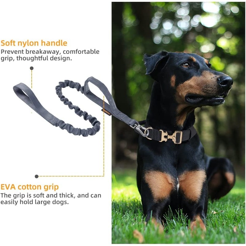 EXCELLENT ELITE SPANKER Dog Leash Nylon Dog Leash for Medium