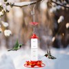 Hummingbird Feeder with Ant Moat - Clear Wild Bird Feeders