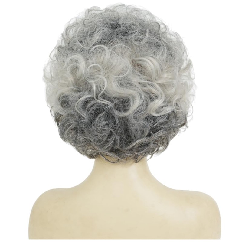 Grey Short Curly Wig Womens Fluffy Natural Looking Wig Synthetic