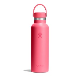 Stainless Steel Bottle, Standard Mouse, 21 oz (621 ml), Popstar Pink, Thermal Insulated Water Bottle