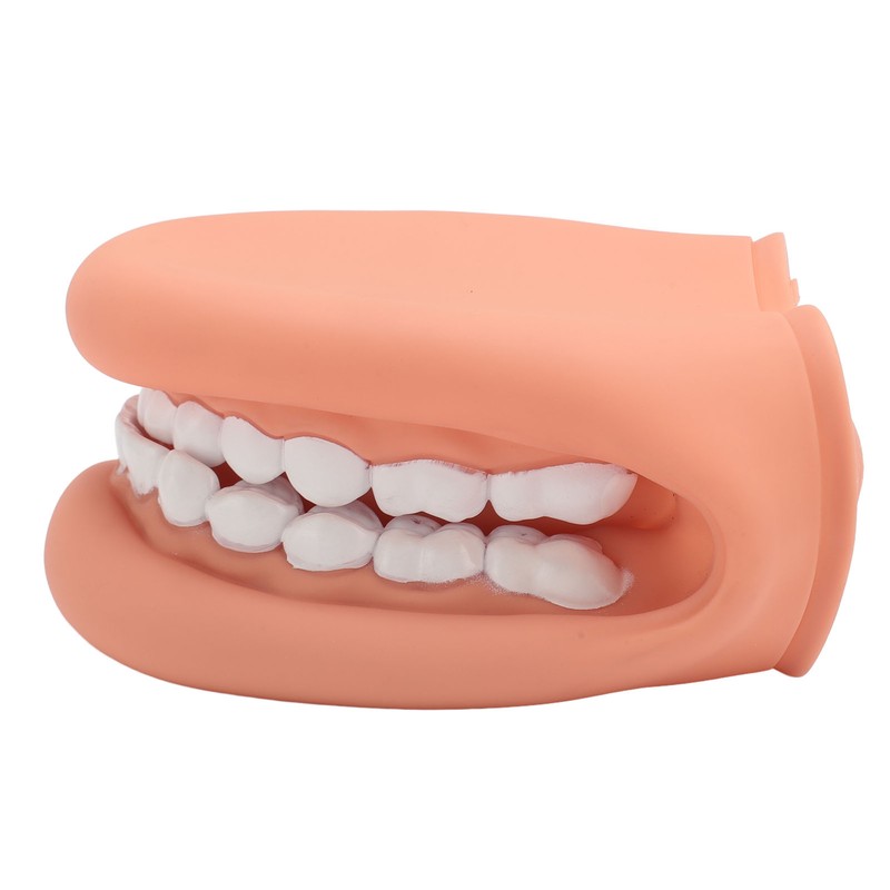 Mouth Puppet with Tongue 28 Teeth Silicone Speech Therapy Demonstration