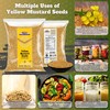 Rani Yellow Mustard Seeds Whole Spice 7oz (200g) ~ Ideal