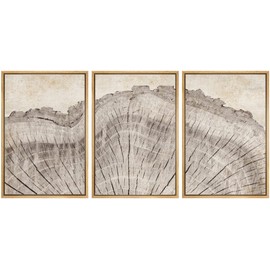 SIGNWIN Framed Canvas Print Wall Art Set Retro Close Up Oak Wood Tree Rings Nature Wilderness Illustrations Modern Art Decorative Farmhouse Zen for Living Room, Bedroom, Office - 16"x24"x3 Natural