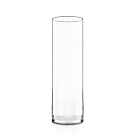 CYS EXCEL Glass Cylinder Vase (H:17" D:5") | Multiple Size Choices Glass Flower Vase Centerpieces | Hurricane Floating Candle Holder Vase