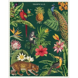 Cavallini - Rompecabezas de 1000 piezas, Tropicale (PZL/TROP)
