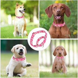 Serijoars Martingale Collar for Dogs, No-Slip Escape Proof Choke No Pull Cinch Soft Nylon Dog Training Collars Adjustable for Medium Large Breed Pet Dogs (Purple, M)