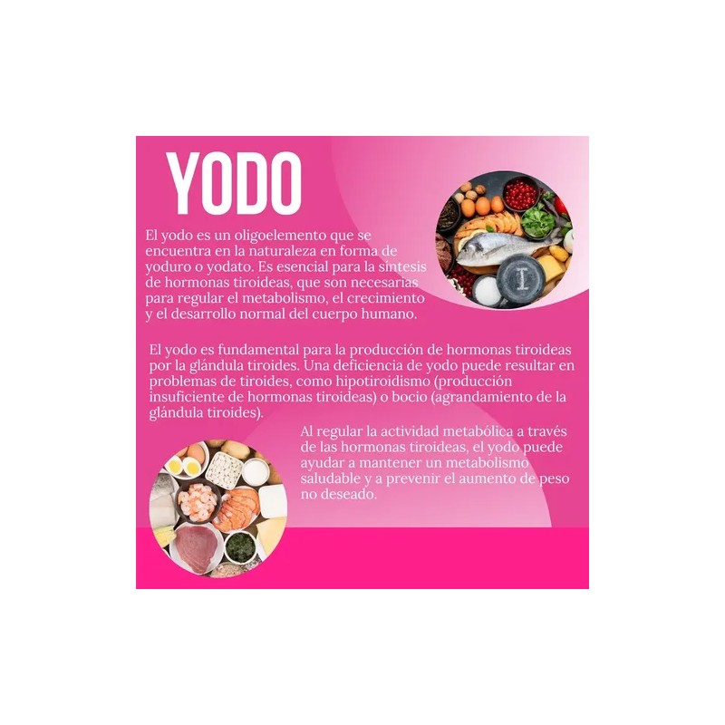 Creatina Monohidratada + Quemador Reductivo Con Lipoenzimas Sabor Sin Sabor