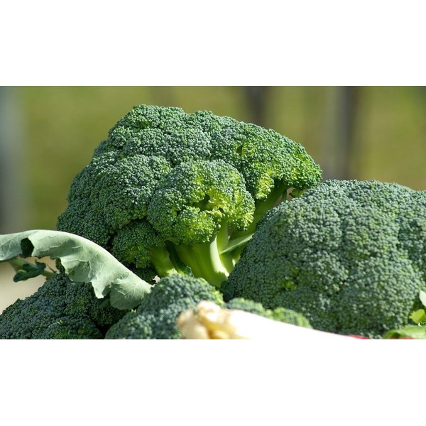 2000 Broccoli Seeds Italian De Cicco - Organic - Non-GMO