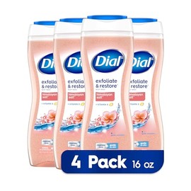 Dial Dial Body Wash, Exfoliate & Restore Himalayan Salt, 16 fl oz, Pack of 4