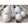 CEMEHA SEEDS - White Onion Non GMO Vegetable for Planting
