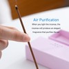 30Pcs Incense Sticks Pack Relaxing Air Purification Incense Sticks Bulk