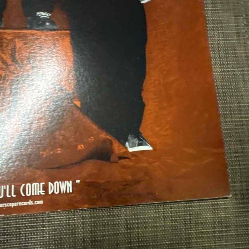 Toadies Hell Below/Stars Above 12x12 Album Cover Promo Poster DS