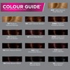 John Frieda Precision Foam Colour, Medium Natural Blonde 8N, Full-Coverage