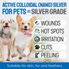SILVER GRADE Wound Spray for Pets – Colloidal Silver Wound