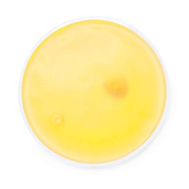 eBuyGB® Pack of 10 Instant Heating Gel Hand Warmers - Reusable Heat Pack (Yellow Round)