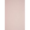 Netuno 25 x Coloured Cardboard, Pale Pink, DIN A4, 210