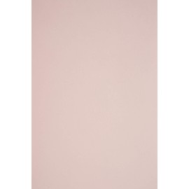 Netuno 25 x Coloured Cardboard, Pale Pink, DIN A4, 210 x 297 mm, 210 g, Sirio Colour Nude Craft Cardboard, Coloured Photo Cardboard, A4, Colourful Cardboard, Wedding, Christening, Christmas, Birthday,