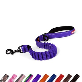 EZYDOG Zero Shock Dog Lead | Zero Shock Technology, Shock-Absorbing, Dog Leads For Small Dogs, Dog Leads For Medium Dogs, Dog Leads For Large Dogs, Soft Padded Handle, 0.6m (Purple)