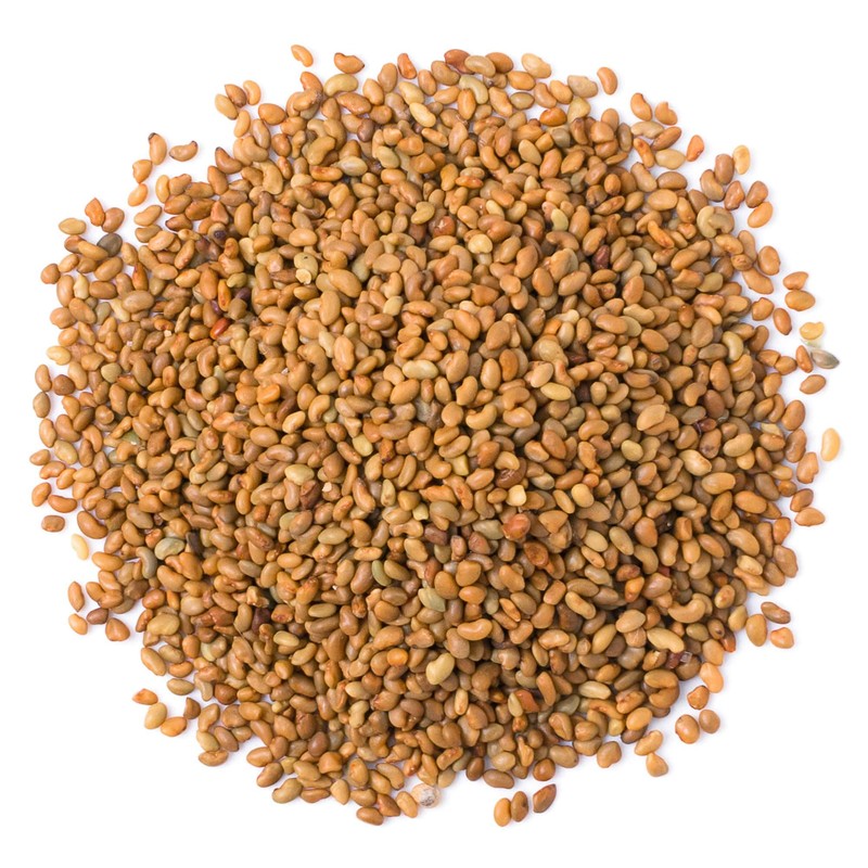 Food to Live Alfalfa Seeds for Sprouting, 1 Pound –