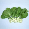 Chinese Cabbage Seeds - Osaka Shirona - 1 Oz ~11400