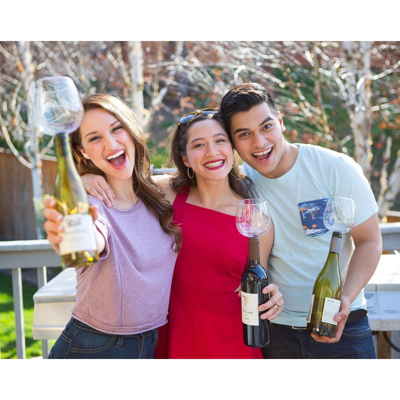 Guzzle Buddy 2GO Unbreakable Tritan Plastic 16 Ounce Wine Glass,