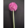 Nearly Natural Artificial 26" allium stem FUCHSIA