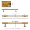 Amerdeco 10 Pack Champagne Gold Cabinet Pulls 5 Inch(128MM) Hole
