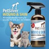 PetSilver Wound & Skin Spray - Dog Wound Spray, Hot