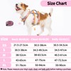 Huntboo Escape Proof Dog Harness Medium, Anti-Pull Dog Harness with