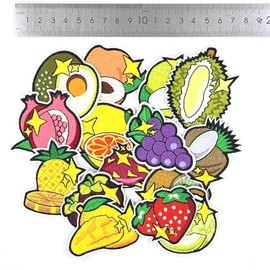 Guokuai 15 Pcs Fruit Patches Iron on Clothing Patches for Kids Clothing Jackets Jeans Backpacks Embroidery Iron on Patches Appliques