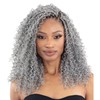 Shake-N-Go Freetress 3x Water Curl Boho Braids 12" (1B)