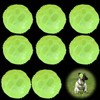 Pack of 8 Glow In The Dark Dog Balls, Squeaky