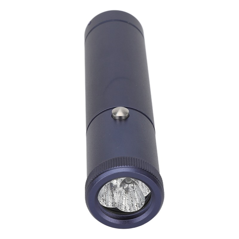 3 in 1 Red Blue LED Light Physiotherapy Device Infrared