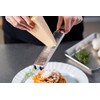 Iidaya JK 06 Ever Grater Pro, Made in Japan, Grater,