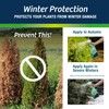 Wilt-Pruf® Original Winter Plant Protection | Ready-to-Spray | Maximum Strength