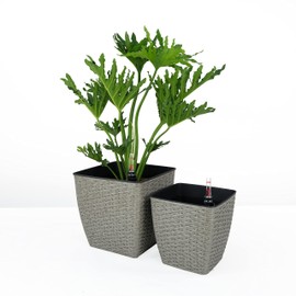 Benicabaly Hand Woven Self-Watering Planter for Tranquility and Easy Plant Care, Grey, 2-Pack