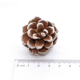 TheStriven 48 Pieces Christmas Pine Cones Decoration Natural Pine Cones Christmas Pine Cones Decoration Pendant Pine Cones Large Decorative Wreath Pine Cones for Gift Tags Christmas Tree Party