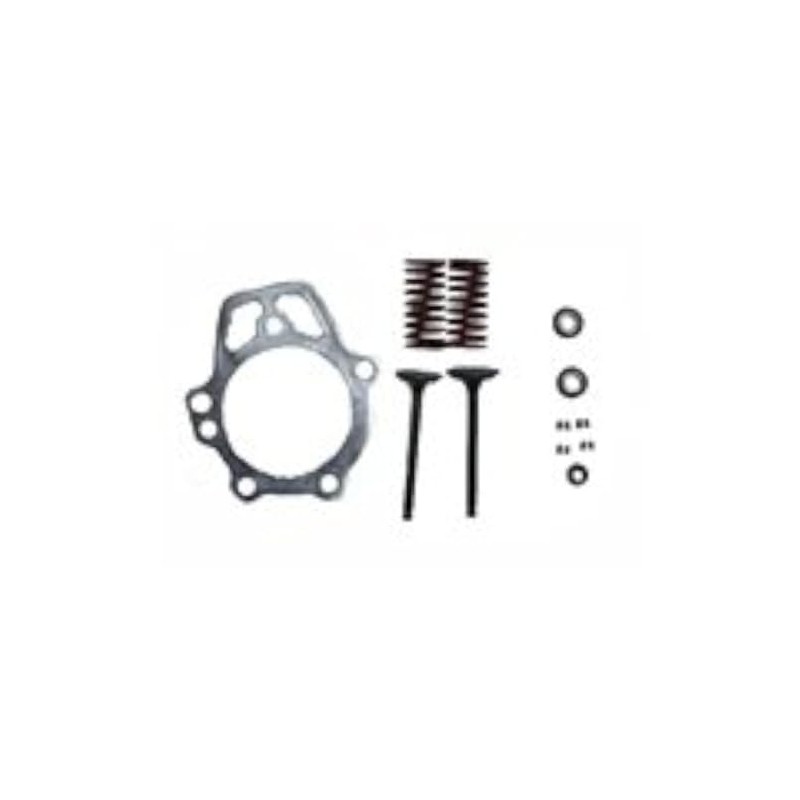 Generac - RETAINER VALVE KIT GN 220