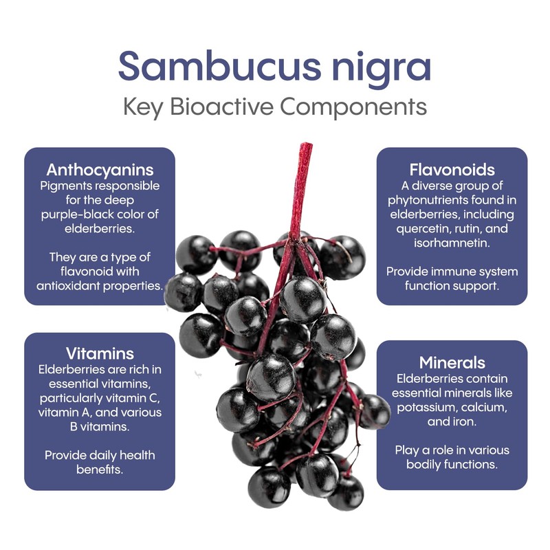 HydraLyte Plus Immunity - Electrolytes + Vitamin C Powder +