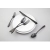 Cambridge Silversmiths Poet Black Satin 20-Piece Flatware Set, Service for